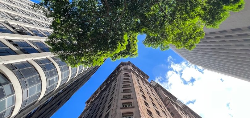 Blick auf moderne Wolkenkratzer und Bäume – Der Wachstumsmarkt Brasilien bietet enorme Chancen für deutsche KMU